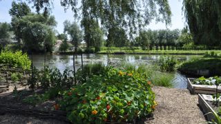 Les hortillonnages d’Amiens, un ensemble de jardins flottants, étaient initialement dédiés à la culture maraichère. ©Isabelle Cordier